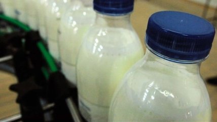 Молочные продукты могут существенно подорожать 