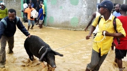 На Гаити ураган "Сэнди" унес жизни 51 человека