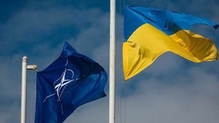 Стандарты НАТО: Минобороны к 2020 году разработает две сотни новых документов