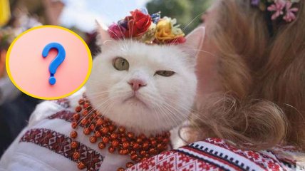 Кошка в вышиванке