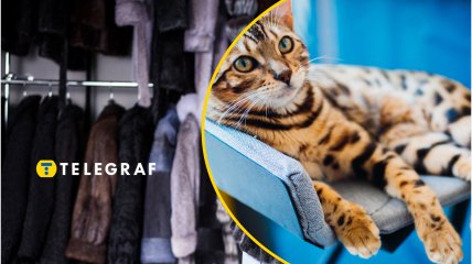 Необычную вещь обсуждают в соцсетях