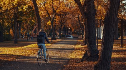 Від +16 до аномальних холодів: якою буде погода в Україні наприкінці листопада