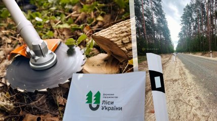 Ліси України