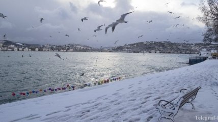 Стамбул завалило снегом