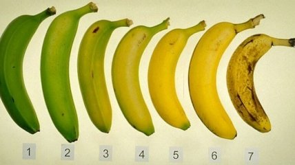 Не спешите выбрасывать почерневшие бананы 