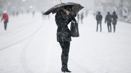 Синоптики рассказали, какие регионы занесет снегом больше всего