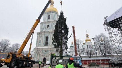 Открытие главной новогодней елки состоится 19 декабря