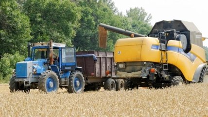 Украине из-за засухи грозит снижение урожайности зерновых
