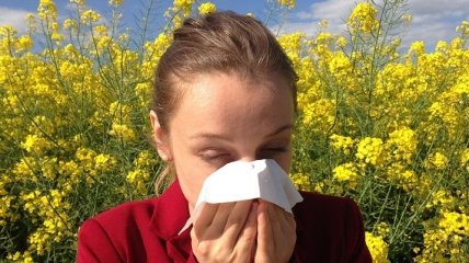 Названы способы борьбы с аллергией