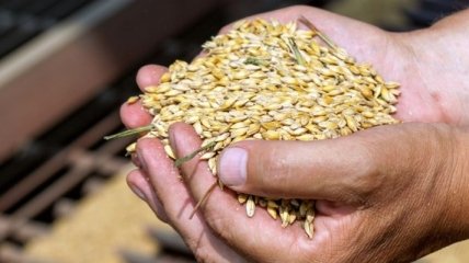 Украинские аграрии намолотили почти 60 миллионов тонн зерновых