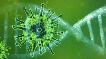 Первую смерть от коронавируса зафиксировали в Италии