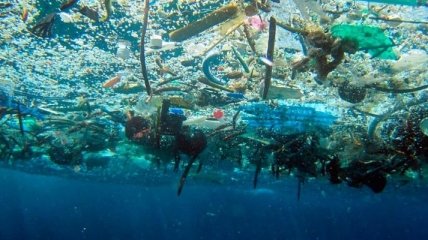 Ученые: Неизвестные бактерии спасают океан от мусора