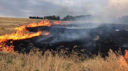 Масштабные пожары: на Луганщине ликвидируют очаги возгорания сухой травы