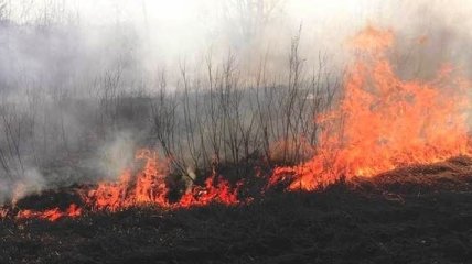 Синоптики объявили чрезвычайную пожарную опасность в Киеве и нескольких областях