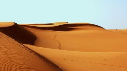 Поболтаем? Песчаные дюны могут общаться друг с другом