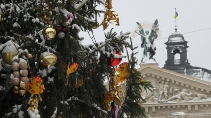 Рождественскую елку во Львове откроют 18 декабря