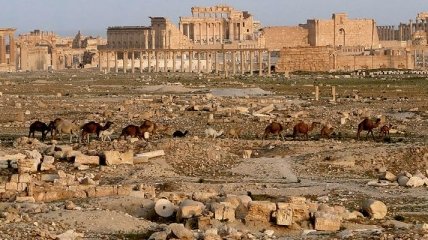 СМИ: Боевики "ИГ" готовятся взорвать римский амфитеатр в Пальмире