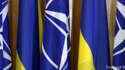 Посол Украины пригласил на выборы наблюдателей НАТО