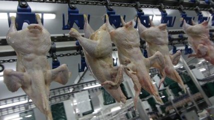 Украина и Албания утвердили форму сертификата для экспорта мяса птицы