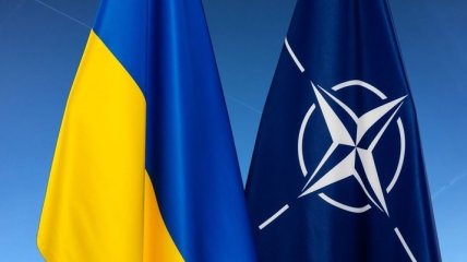 США решительно поддерживают вступление Украины в НАТО