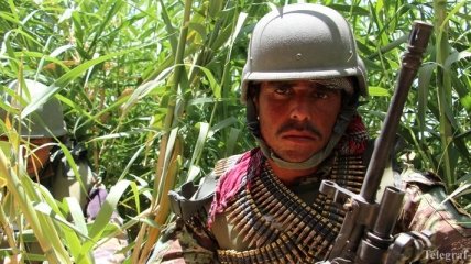 В Афганистане убит один из лидеров "Талибана"