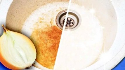 Лук – это не только приправа, придающая особый вкус нашим блюдам