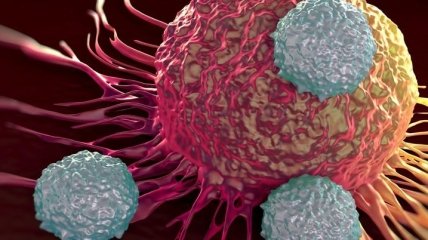 Ученые выяснили, как остановить распространение клеток четырех типов рака