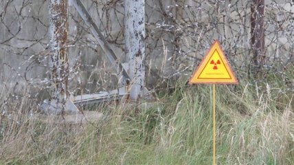Из Чернобыльской зоны эвакуировали 500 сотрудников ЧАЭС