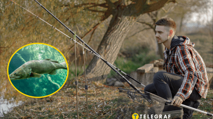 Рибалка з вудками