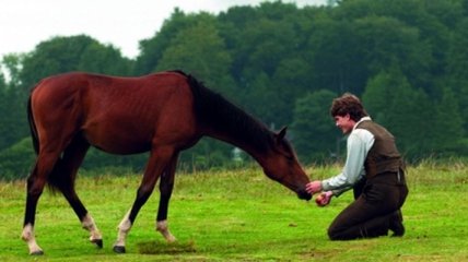 Во Львовской области конь смертельно травмировал хозяина