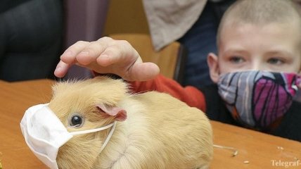 В Украине коронавирус обнаружили у 57 детей