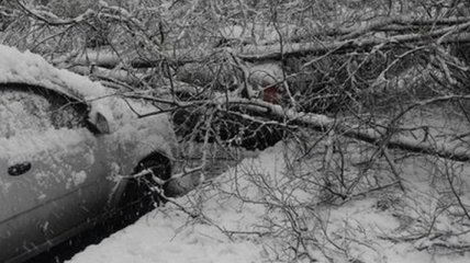 Непогода обесточила 117 населенных пунктов в Украине