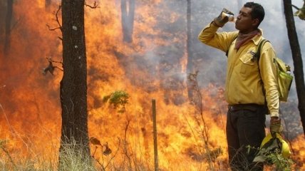 На Николаевщине возникла угроза возгорания лесных массивов