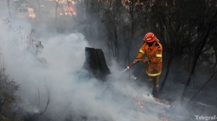 Ветер серьезно обострил пожароопасную ситуацию на востоке Австралии