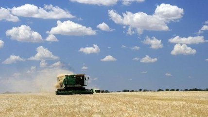 Украина нацелена собрать рекордное количество зерна - 57 млн тонн   