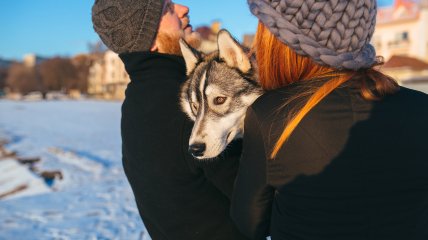Сегодня 16 января 2024 праздник - Петров день (ранее 29 января)