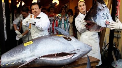 Японский ресторан купил тунца за $736,000