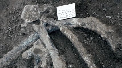 Археологи обнаружили уникальные следы древних американцев