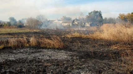 В Полтавской области продолжают гореть торфяники