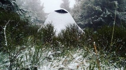 Снег в Украине: в Карпатах разгулялась непогода (Фото и видео) 