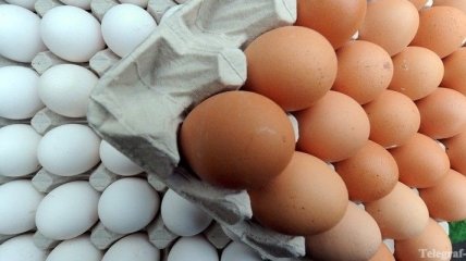 Ученые советуют завтракать яйцами