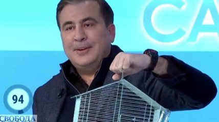 Саакашвили удивил украинцев, придя к Шустеру... с крысой (видео)