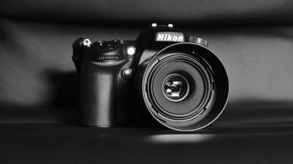 Карантин: Nikon бесплатно запустила доступ к онлайн-курсам по фотографии