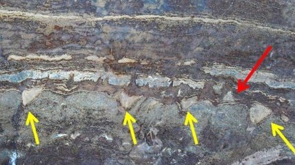 Ученые: древнейшие сохранившиеся образцы жизни оказались просто камнем 