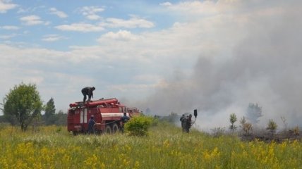 ГСЧС: на восточной окраине Киева горит 4 га травы
