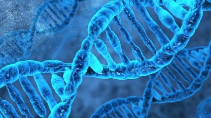Ученые раскрыли секрет контроля репликации ДНК