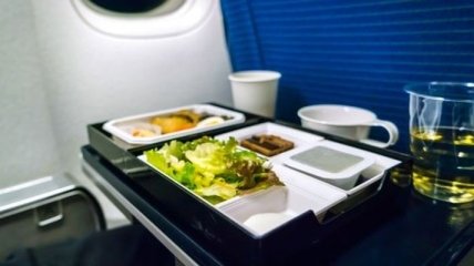Всего два блюда безопасно есть в самолете 