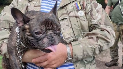 Во Львове наградили собак-героев,которые помогали военным на Донбассе (Фото)