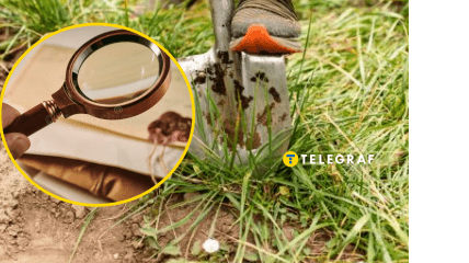 Украинцы находят в земле артефакты