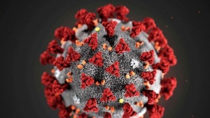 Стало відомо, скільки на поверхні може жити коронавірус